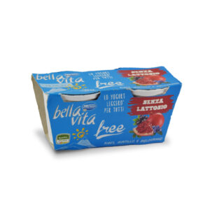 Yogurt senza lattosio Ribes, mirtilli e melograno
